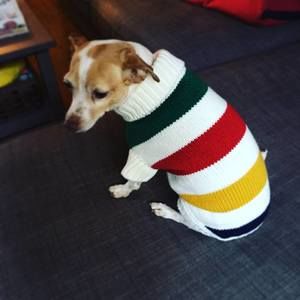 Meet your Posher, Harvey